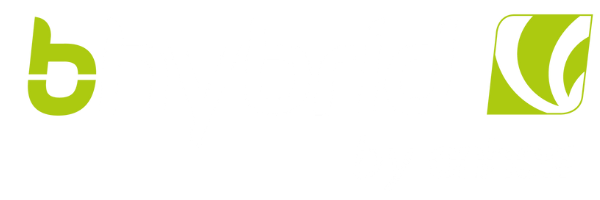 Bhybrid